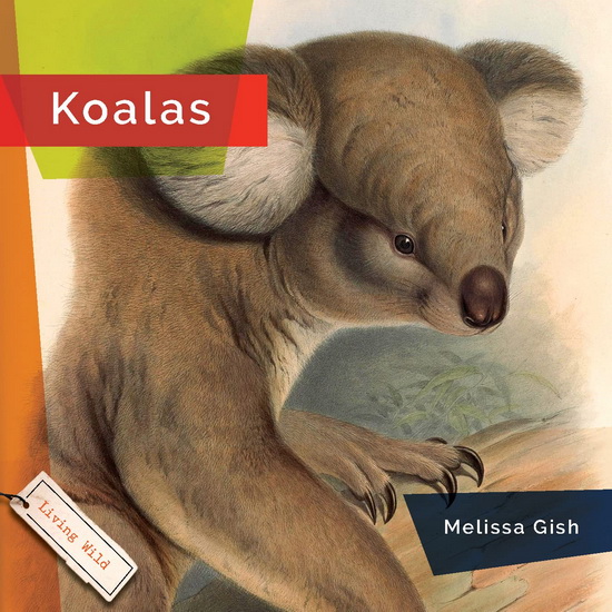 Koalas - RACHAEL HANEL