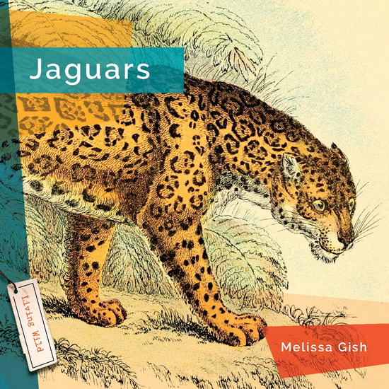Jaguars - MELISSA GISH