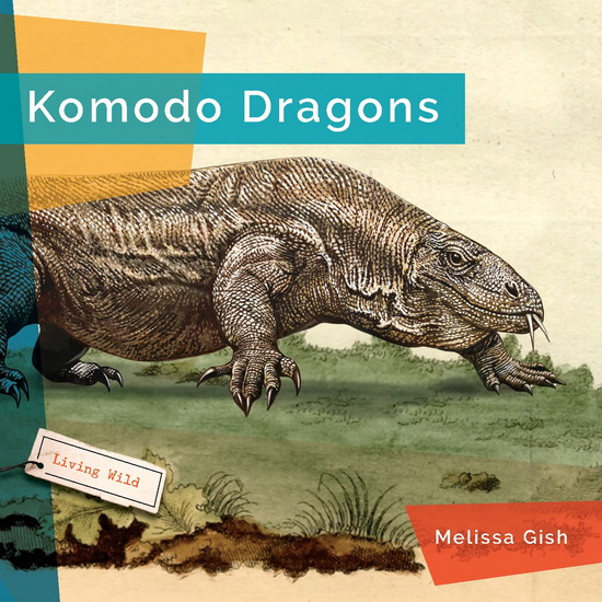 Komodo Dragons - MELISSA GISH