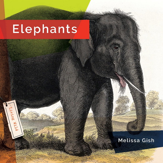 Elephants - MELISSA GISH