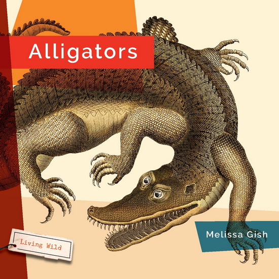 Alligators - MELISSA GISH