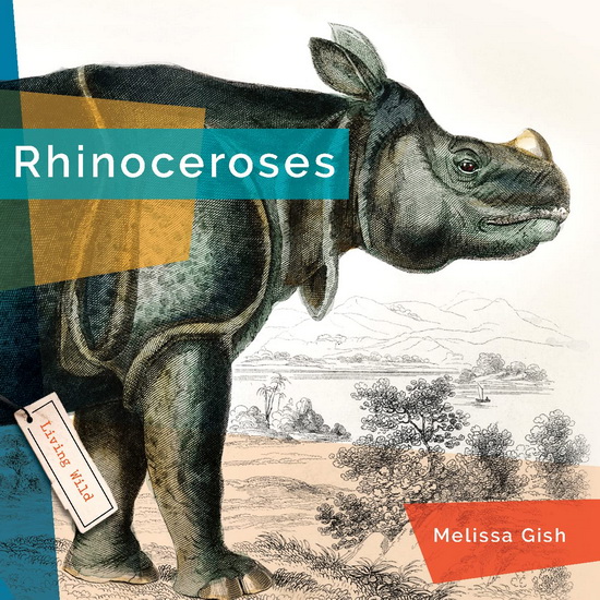 Rhinoceroses - MELISSA GISH
