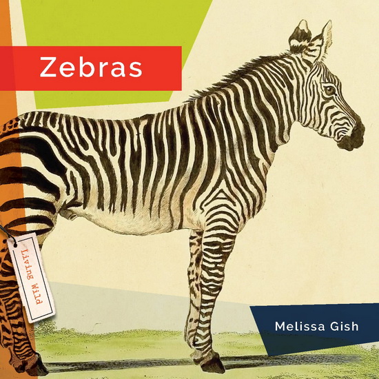 Zebras - MELISSA GISH