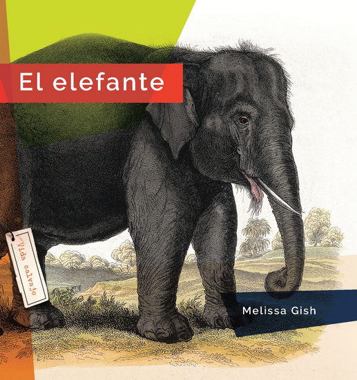 El elefante - MELISSA GISH