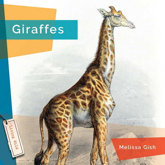 Giraffes - NICOLE HELGET