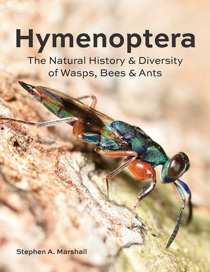 Hymenoptera - STEPHEN  A MARSHALL