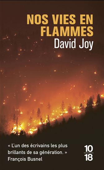 Nos vies en flammes - DAVID JOY