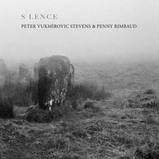 S Lence - PETER VUKMIROVIC STEVENS
