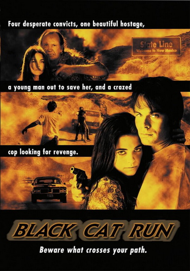 Black Cat Run - D.J. CARUSO
