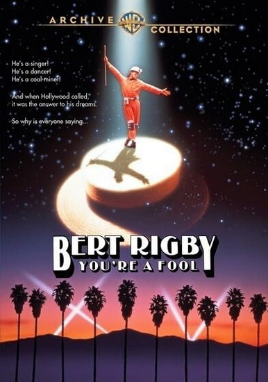 Bert Rigby, You're a Fool - CARL REINER