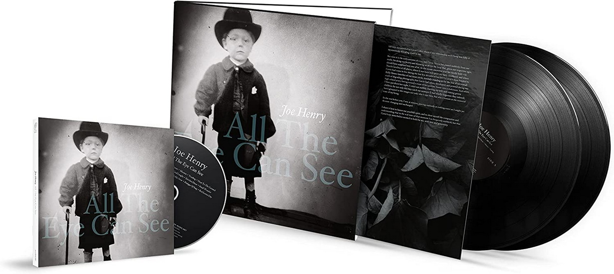 All The Eye Can See - JOE HENRY