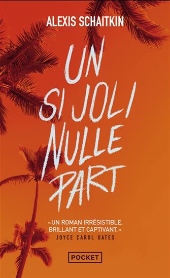 Un si joli nulle part - ALEXIS SCHAITKIN