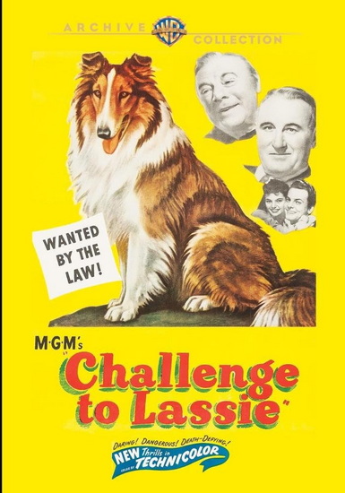 Challenge to Lassie - RICHARD THORPE