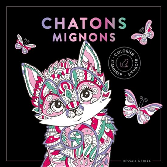 Chatons mignons - COLLECTIF