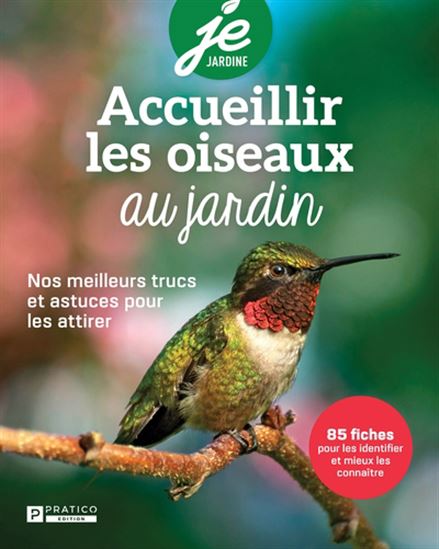 Accueillir les oiseaux au jardin :  nos meilleurs trucs et astuces pour les attirer - COLLECTIF