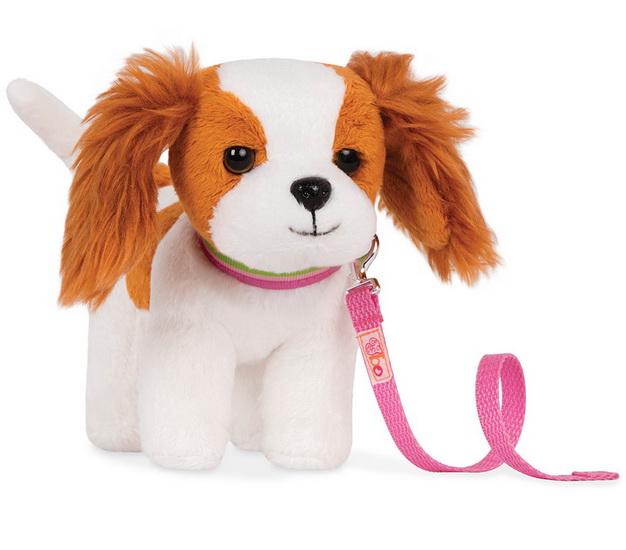 Chiot Cavalier King Charles