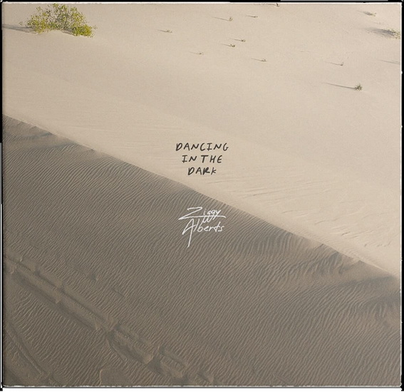 Dancing In The Dark - ZIGGY ALBERTS