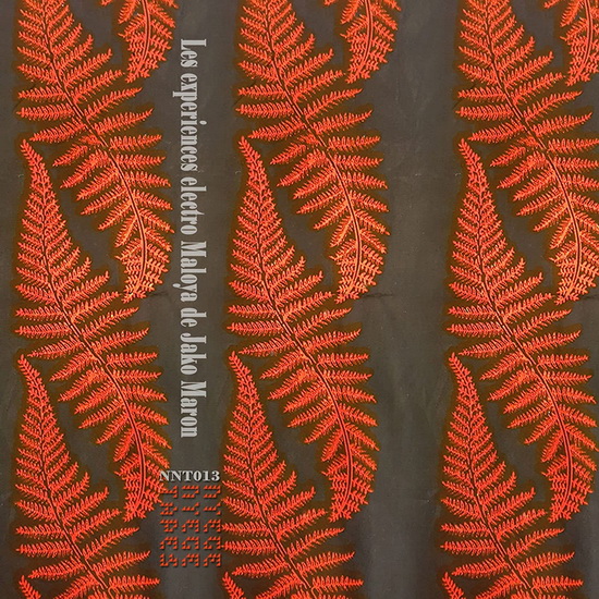 The Electro Maloya Experiments Of Jako Maron (2 Vinyle) - JAKO MARON