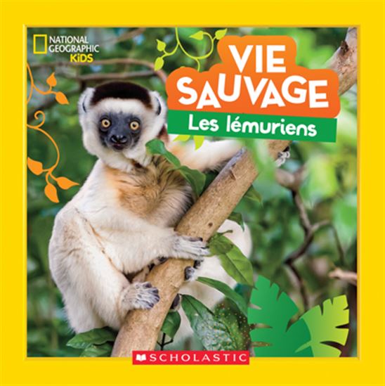 Vie sauvage : les lémuriens - ALLI BRYDON