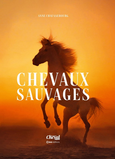 Chevaux sauvages - ANNE CHAUSSEBOURG