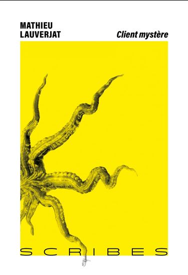 Client mystère - MATHIEU LAUVERJAT