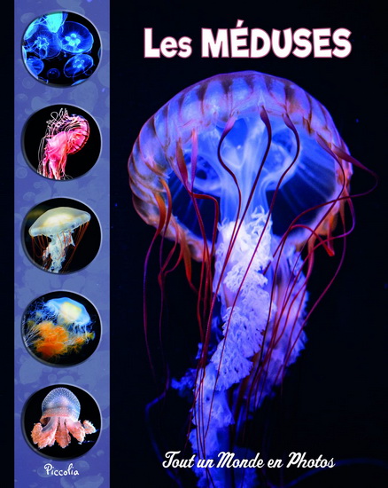 Les Méduses N. éd. - COLLECTIF