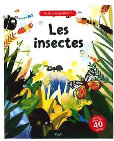 Les Insectes - COLLECTIF
