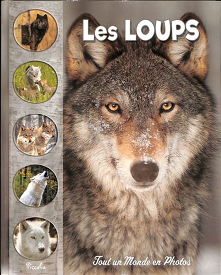 Les Loups - COLLECTIF
