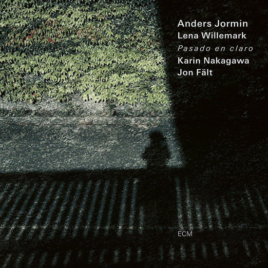 Pasado En Claro - JORMIN ANDERS