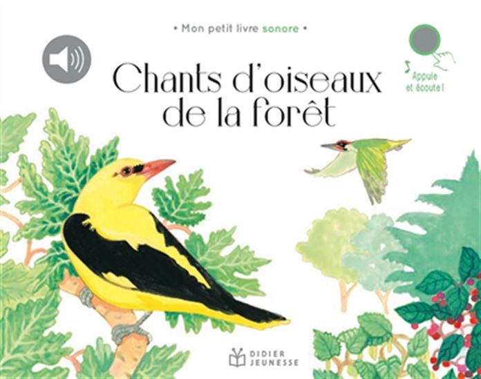 Chants d'oiseaux de la forêt - LISA ZORDAN