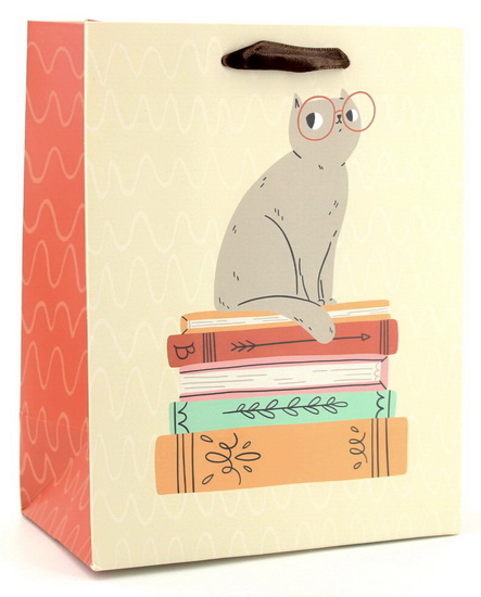 Sac petit Chat sur livres