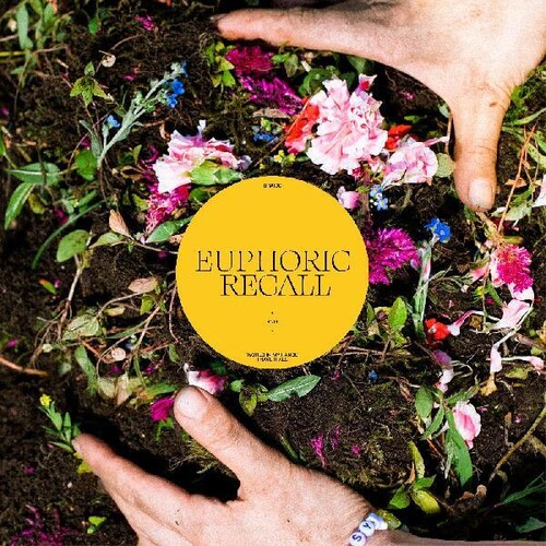 Euphoric Recall - BRAIDS
