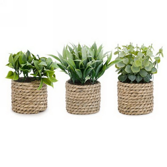 Plante verte en pot tressé 3AS
