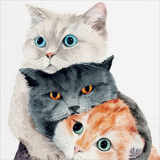 Serviette de table - Faces de chat