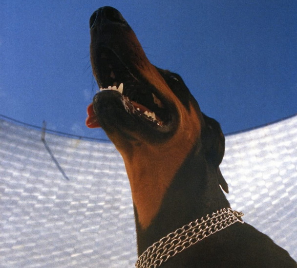 Good Lies - OVERMONO