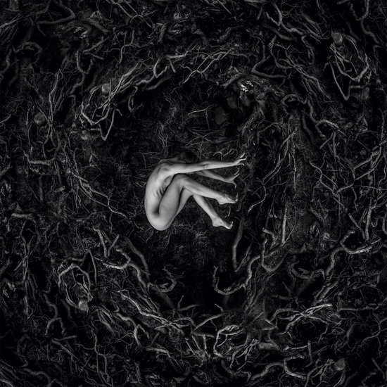 Let The Earth Be Silent - FVNERALS