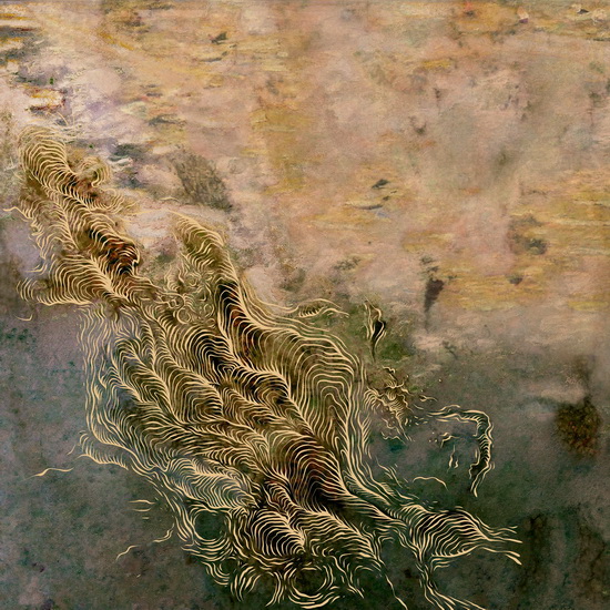 Water, It Feels Like It's Growing - ATSUKO CHIBA