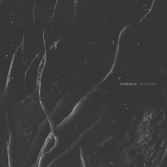 Wounds - FVNERALS