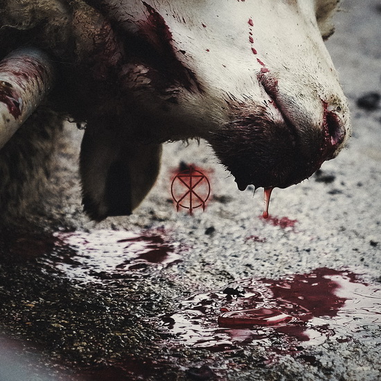 Director's Cuts - TO THE GRAVE