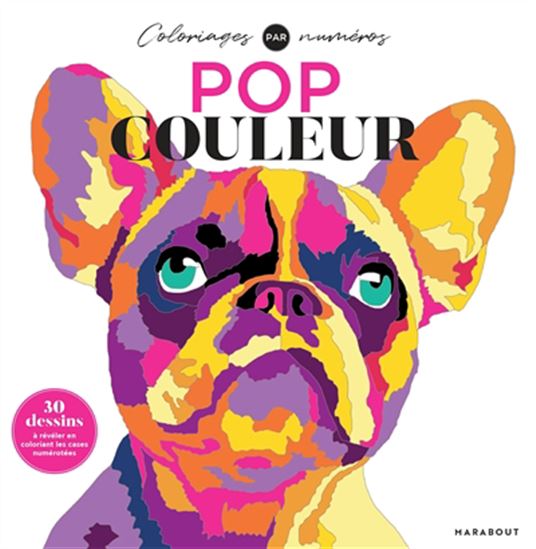 Pop Couleur - LAUREN FARNSWORTH