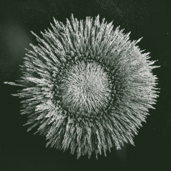 De  Construction - LOUIS-ETIENNE SANTAIS