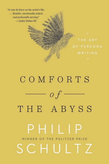 Comforts of the Abyss - PHILIP SCHULTZ
