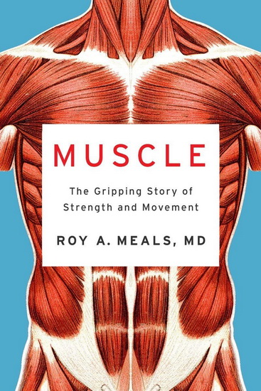 Muscle - ROY A MEALS