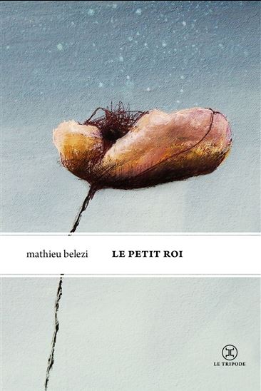 Le Petit Roi - MATHIEU BELEZI