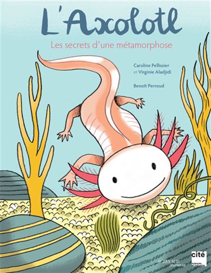 L&#39;Axolotl, les secrets d&#39;une métamorphose - CAROLINE PELLISSIER & AL