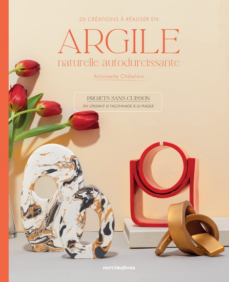 Je crée avec l'argile autodurcissante : 26 projets expliqués pas à pas pour vous guider et vous inspirer - ANTOINETTE CHÂTELAIN