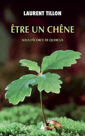 Être un chêne : sous l&#39;écorce de Quercus - LAURENT TILLON
