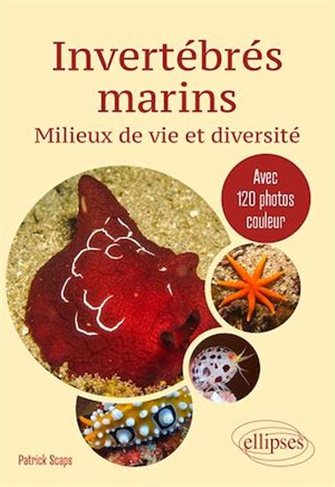 Invertébrés marins : milieux de vie et diversité : avec 120 photos couleur - PATRICK SCAPS