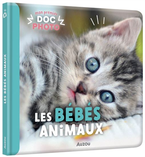 Les Bébés animaux - COLLECTIF