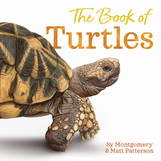 The Book of Turtles - SY MONTGOMERY - MATT PATTERSON